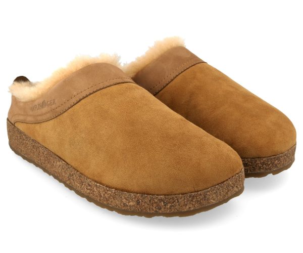 Haflinger Snowbird